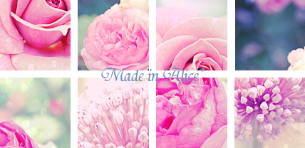 Made in Alice*